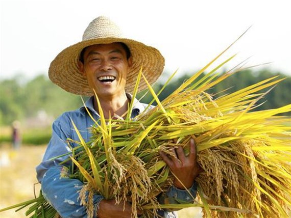 2018年1月23日農(nóng)業(yè)部耕地質(zhì)量監(jiān)測保護中心與肥業(yè)公司簽訂戰(zhàn)略合作協(xié)議