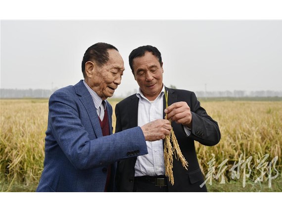 變鹽堿荒灘為生態(tài)糧倉  ——宋福如科研團(tuán)隊(duì)10年改良千萬畝鹽堿地記事