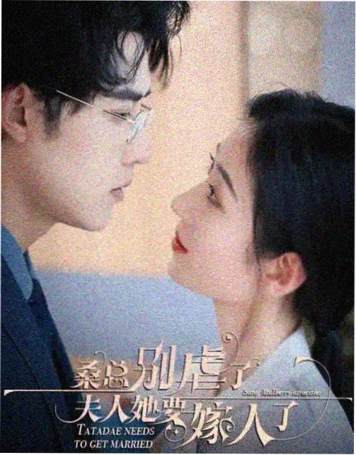 潮间带 电视剧在线观看 封面